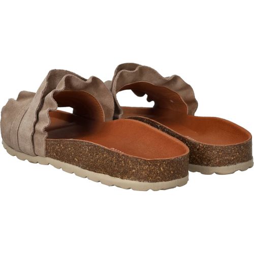 Durlinger Verbenas Rocio