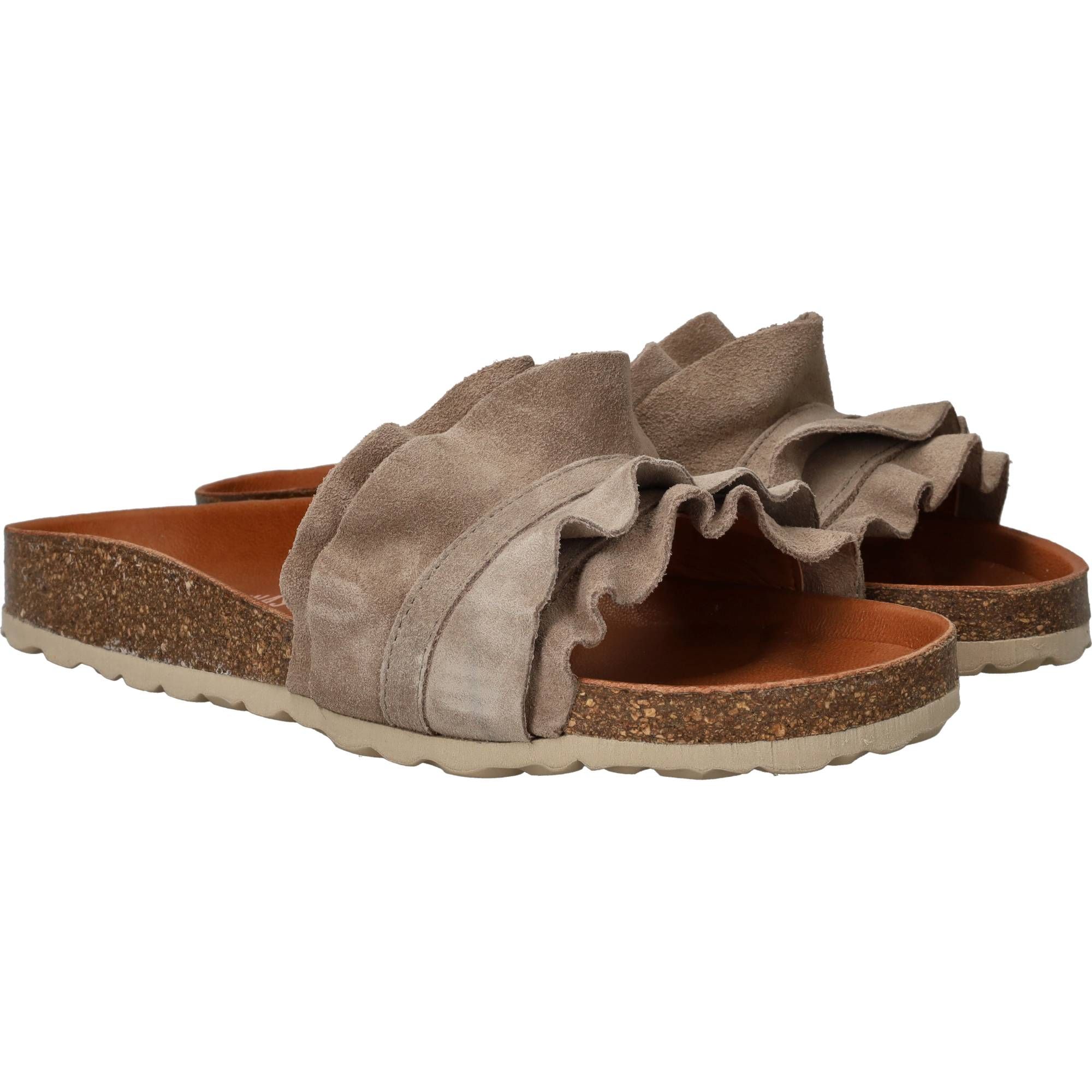 Durlinger Verbenas Rocio