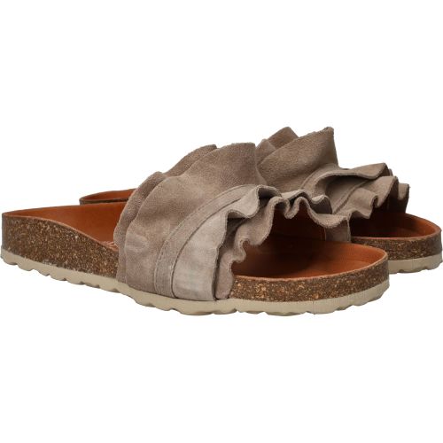 Durlinger Verbenas Rocio