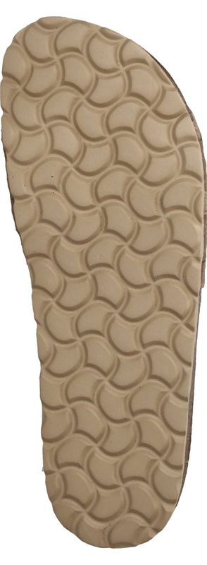 Durlinger Verbenas Rocio