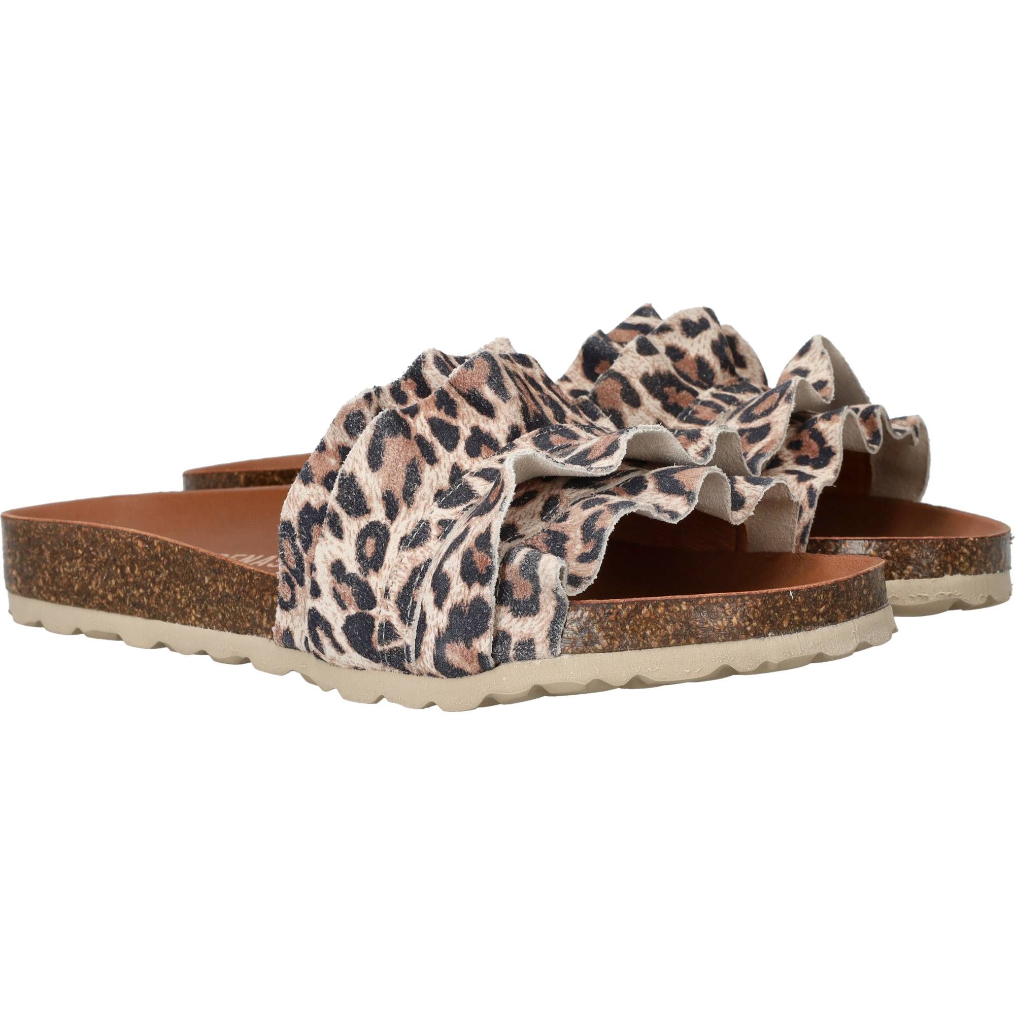 Durlinger Verbenas Rocia