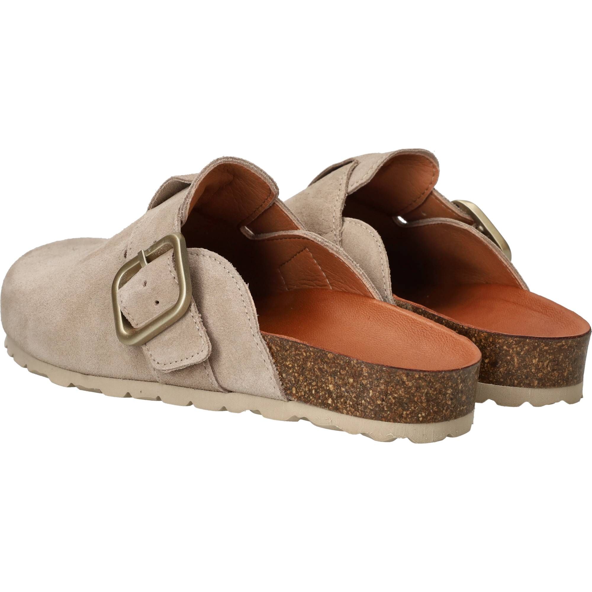 Durlinger Verbenas Rio