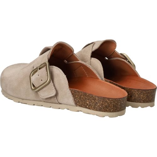 Durlinger Verbenas Rio