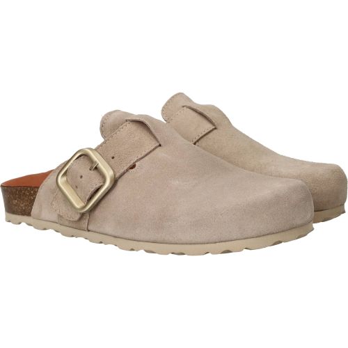 Durlinger Verbenas Rio