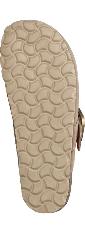 Durlinger Verbenas Rio