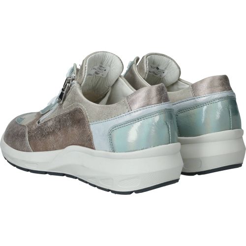 Durlinger Waldlaufer Tonia