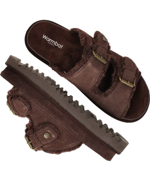 Durlinger Warmbat Dysart