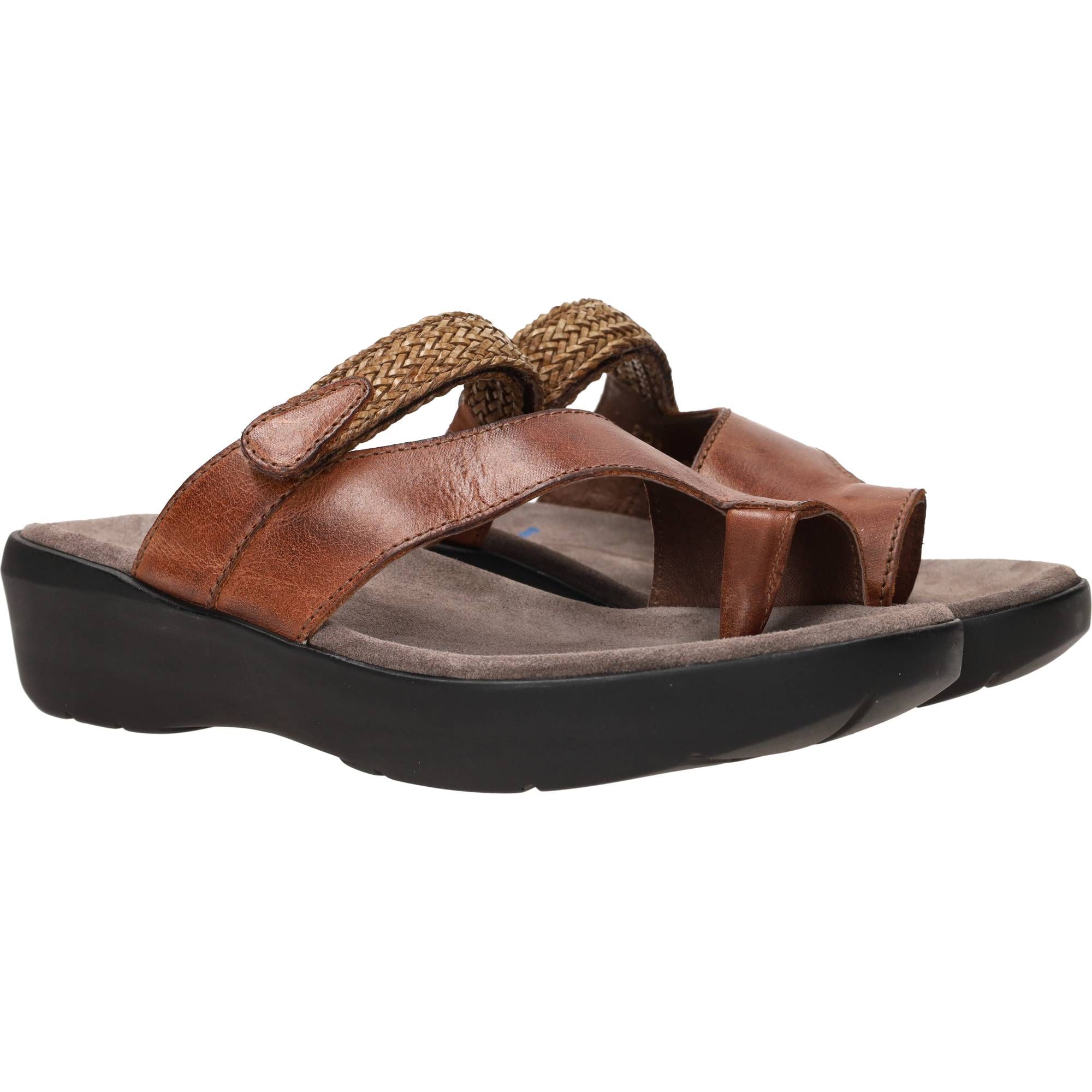 Durlinger Wolky Collins