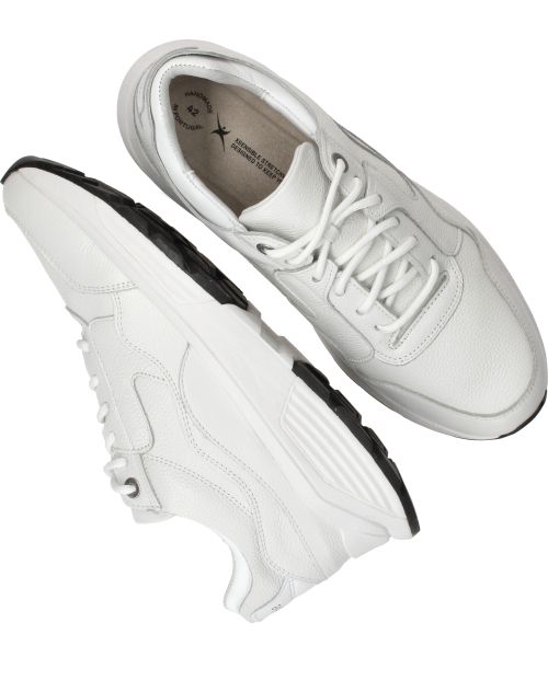 Durlinger Xsensible Golden Gate Stretchwalker