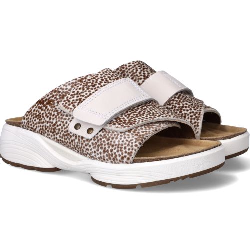 Durlinger Xsensible Amaryllis Stretchwalker